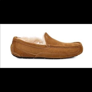 UGG Men's Ascot Suede Slipper Chestnut 11